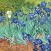 Vincent van Gogh - Irises Variante 2
