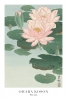 Ohara Koson - Water Lilies Variante 1