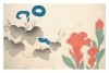 Ogata Korin - Design of Morning-Glory and Other Flowers Variante 1