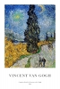 Vincent van Gogh - Country Road in Provence by Night Variante 1