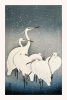 Ohara Koson - Egrets in the Snow Variante 1