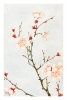 Megata Morikaga - Plum Branches with Blossoms Variante 1
