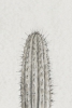 Spiky No. 2 Variante 1