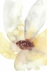 Pastel Flower No. 1 Variante 1