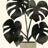 Black Plant No. 2 Variante 1