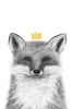 Royal Fox Variante 1