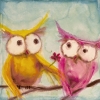 Sunny Owls No. 2 Variante 1