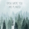 Grow Where Planted Variante 1