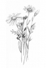 Pencil Flower Study No. 2 Variante 1