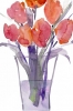 My Favourite Tulips Variante 1