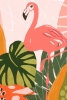 Bold Flamingo Variante 1