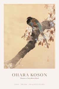 Ohara Koson - Pheasant on cherry blossom branch