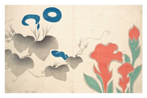 Ogata Korin - Design of Morning-Glory and Other Flowers