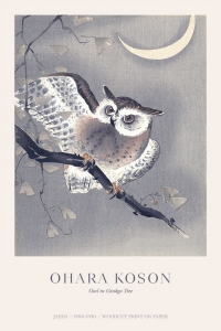 Ohara Koson - Owl in Ginkgo Tree