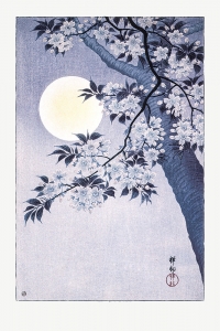 Ohara Koson - Blossoming Cherry on a Moonlit Night