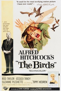 Affiche de « Les Oiseaux » (The Birds), réalisé par Alfred Hitchcock (1963)