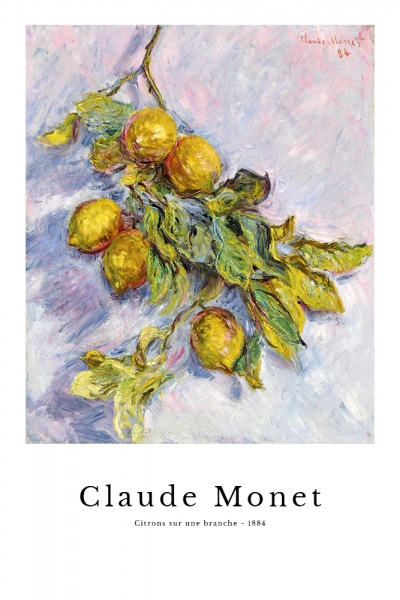 Claude Monet - Citrons sur une branche 
