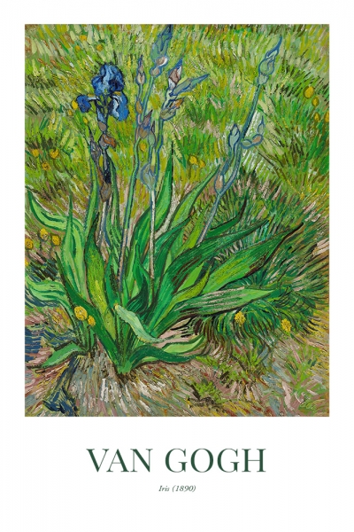 Vincent van Gogh - Iris Variante 1 | 60x90 cm | Premium-Papier wasserfest