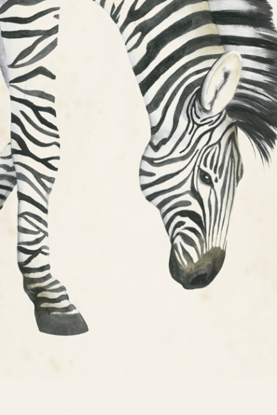 Head & Feet No. 3 - Zebra 
