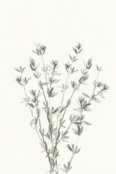 Delicate Herbs No. 2 Variante 1 | 13x18 cm | Premium-Papier
