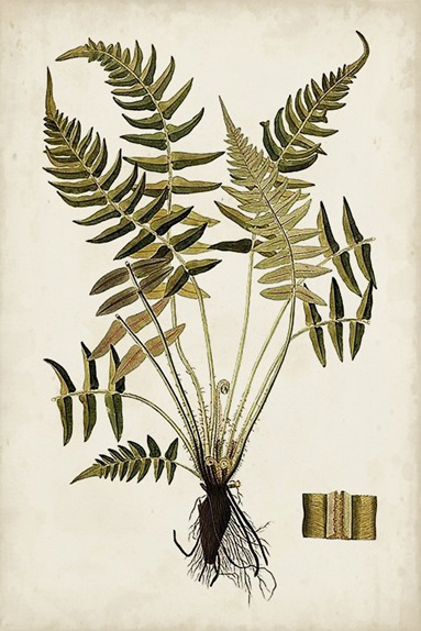 Botanical Samples No. 3 