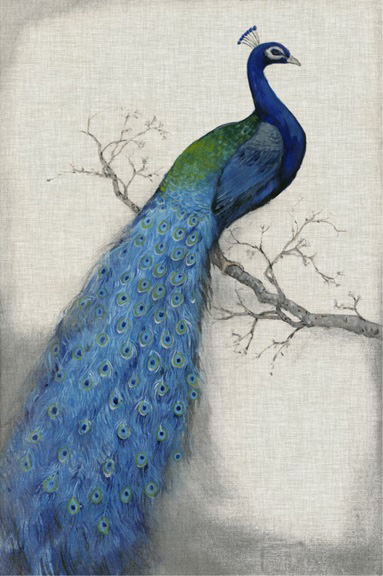 Peacock No. 1 