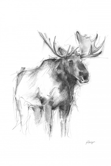 Animal Sketch No. 4 Variante 1 | 13x18 cm | Premium-Papier