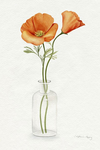 Poppy Vase 